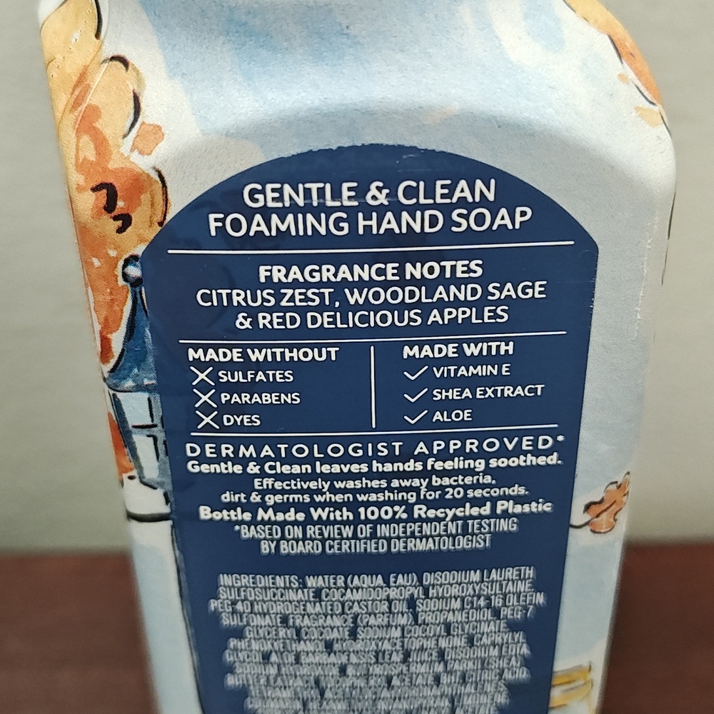 Bath & Body Works EARLY FALL 5 Piece Foaming Hand Soap Bundle - Picture 6 of 7